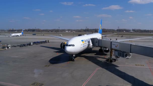 View of the Airport Runway with Aircraft and Support Staff — Stock Video