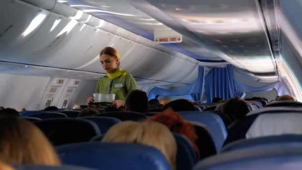 Pasajeros dentro de la cabina de los aviones de pasajeros sentados en las sillas durante el vuelo — Vídeos de Stock