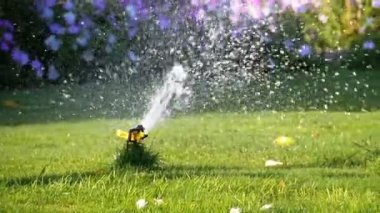 Yavaş Çekimde Yeşil Çimile Bahçede Otomatik Çim Sprinkler