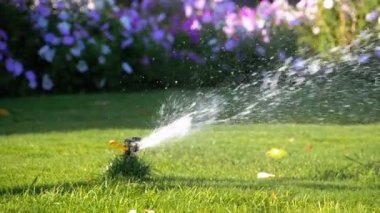 Yavaş Çekimde Yeşil Çimile Bahçede Otomatik Çim Sprinkler