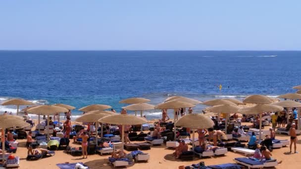 Playa con sombrillas y tumbonas en Egipto. Resort en la costa del Mar Rojo — Vídeo de stock