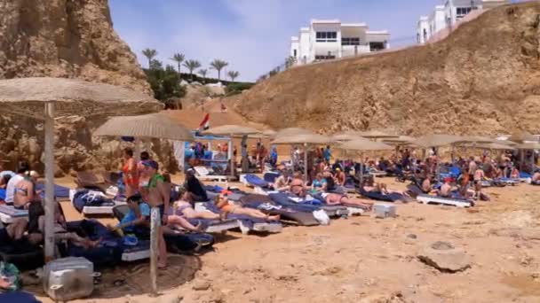 Beach in Egypt. Resort on Red Sea Coast. People relax and sunbathe on Beach with umbrellas and sunbeds — Stock Video