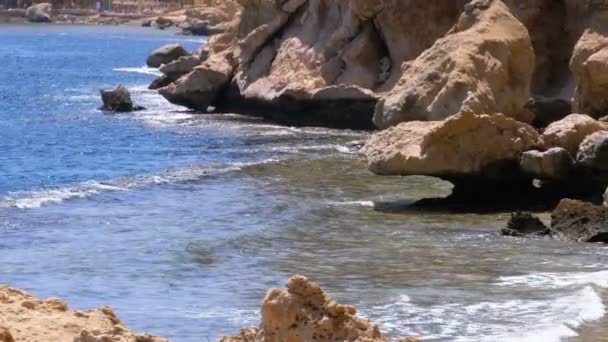 Rotsachtig strand in Egypte. Strand in een baai aan de kust met golven in de blauwe zee en koraalriffen. Slow Motion — Stockvideo