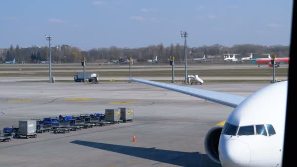 Uitzicht op de landingsbaan van de luchthaven met vliegtuigen en ondersteunend personeel — Stockvideo