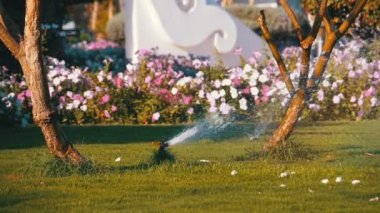 Yavaş Çekimde Yeşil Çimile Bahçede Otomatik Çim Sprinkler