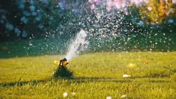 自动草坪洒水器在花园与绿草在慢动作 — 图库视频影像