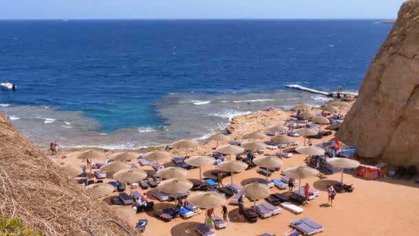 Βραχώδης παραλία σε έναν κόλπο με ομπρέλες και ξαπλώστρες στην Αίγυπτο στην Ερυθρά θάλασσα. — Αρχείο Βίντεο