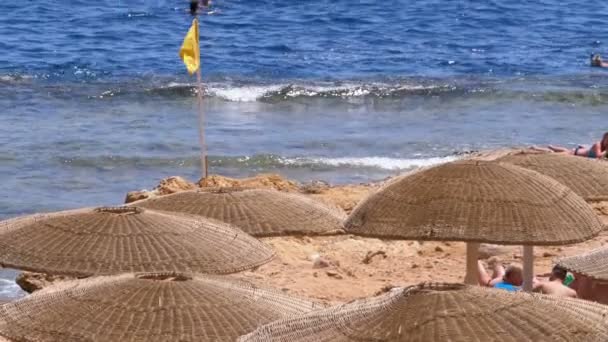 Praia vazia com guarda-chuvas no Egito no fundo de um recife de coral no Mar Vermelho — Vídeo de Stock