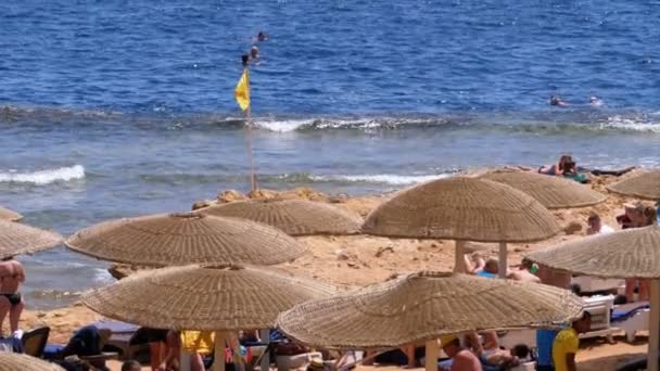 Pláž s slunečníky a lehátky v Egyptě. Resort na pobřeží Rudého moře — Stock video