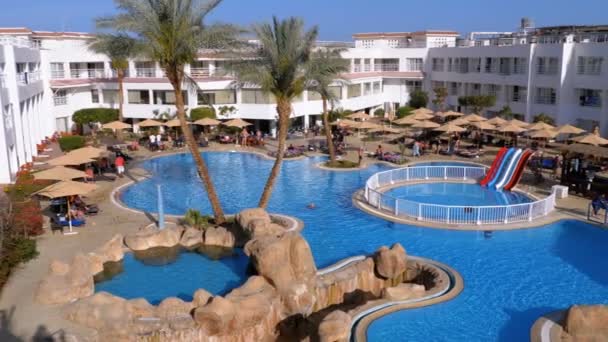 Солнечный курорт с роскошным голубым бассейном, пляжными зонтиками и шезлонгами в Египте — стоковое видео