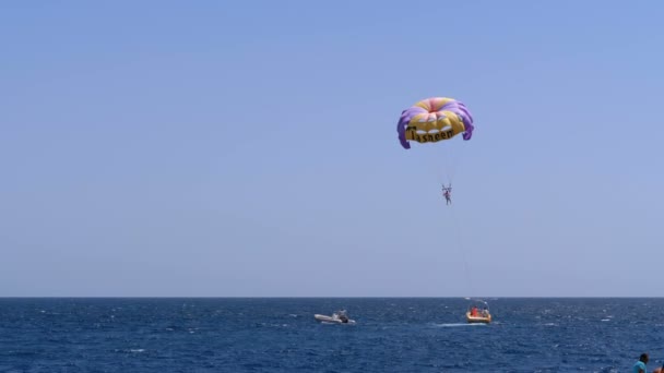 "Парасейлинг за лодкой". Человек на веревке пролетает над красным морем на парашюте над лодкой . — стоковое видео