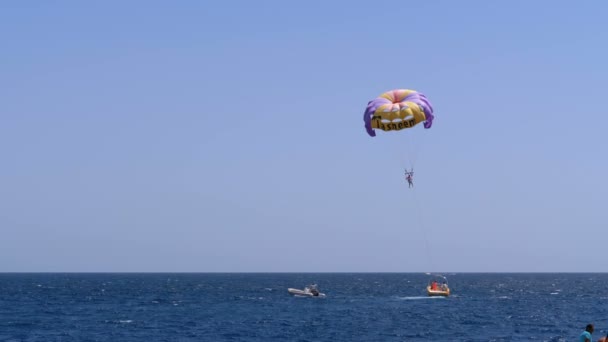 Andare in paracadutismo dietro una barca. L'uomo su corda vola sopra il mare rosso su un paracadute sopra una barca . — Video Stock