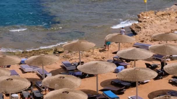 Egipt, plaża z parasolami i leżakami na Morzu Czerwonym w pobliżu rafy koralowej. — Wideo stockowe