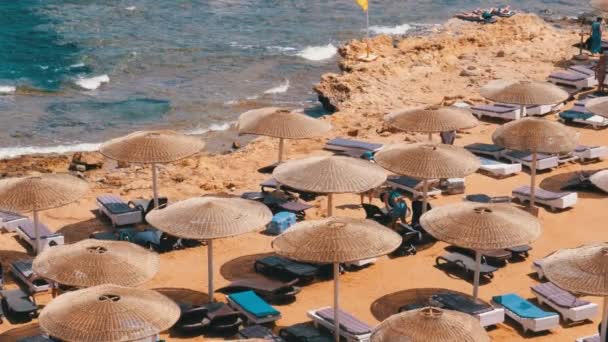 Egypt, Beach with Umbrellas and Sunbeds on Red Sea near the Coral Reef. — Stock Video