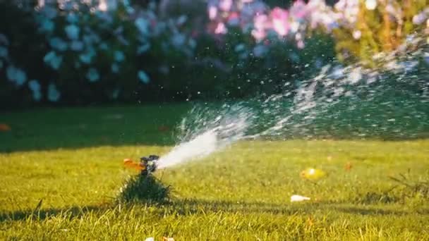 Automatický postřikovač trávníků na zahradě se zelenou trávou v pomalém pohybu — Stock video