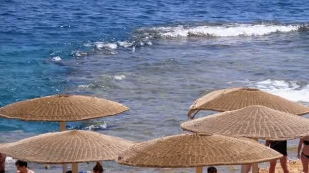 Playa con paraguas en Egipto en el fondo del Mar Rojo y las olas — Vídeo de stock