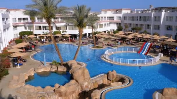 Sunny Hotel Resort με πολυτελή γαλάζια πισίνα, ομπρέλες παραλίας και ξαπλώστρες στην Αίγυπτο — Αρχείο Βίντεο