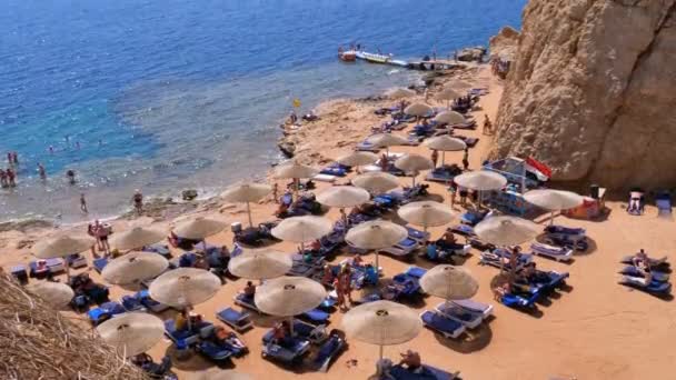 Rocky Beach w zatoce z parasolami i leżakami w Egipcie na Morzu Czerwonym. — Wideo stockowe