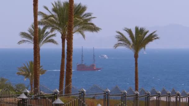 Landschap uitzicht op de zee, Palm bomen en zeilschip in de rode zee, Egypte, Sharm El Sheikh — Stockvideo