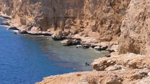 Βραχώδης παραλία στην Αίγυπτο. Παραλία σε έναν κόλπο στην ακτογραμμή με κύματα στην Ερυθρά θάλασσα και τους κοραλλιογενείς υφάλους. — Αρχείο Βίντεο