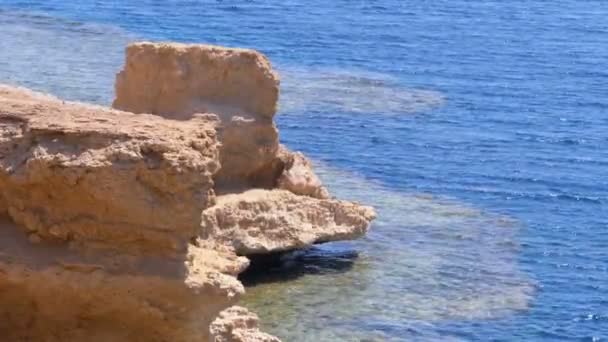 Rock a Vörös-tengeren az egyiptomi tengerparton. Szép háttér a Resort Vacation — Stock videók