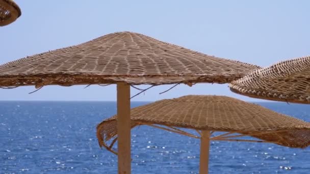 Ombrelli sullo sfondo del mare sulla spiaggia vuota in Egitto — Video Stock