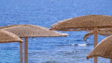 Mısır'da Boş Plajda Denizin Arka Planı Şemsiyeleri