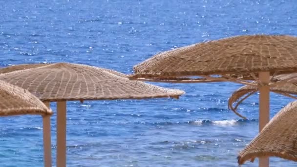 Playa vacía con sombrillas en Egipto en el fondo del Mar Rojo — Vídeo de stock
