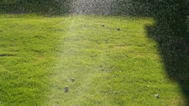 Aspersor de gramado automático no jardim com grama verde em câmera lenta — Vídeo de Stock