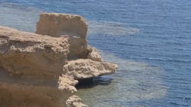 Mısır sahilinde Kızıldeniz'deki kaya. Resort Tatil için Güzel Arka Plan