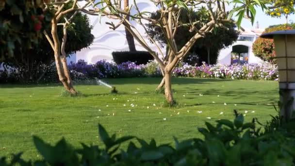 Aspersor de césped automático en el jardín con hierba verde en cámara lenta — Vídeos de Stock