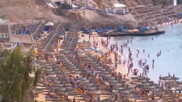 Strand in het luxe hotel met parasols en ligbedden op de rode zee in de buurt van het koraalrif. Egypte — Stockvideo