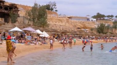 Mercan Resifi yakınındaki Kızıldeniz'deki Luxury Hotel'de Şemsiyeli ve Şezlonglu Plaj. Mısır.