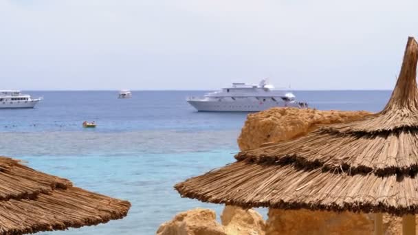 Tropical Beach z parasolami słonecznymi na Morzu Czerwonym w pobliżu Coral Reef. Egipt. — Wideo stockowe