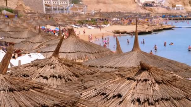 Tropical Beach z parasolami słonecznymi na Morzu Czerwonym w pobliżu Coral Reef. Egipt. — Wideo stockowe