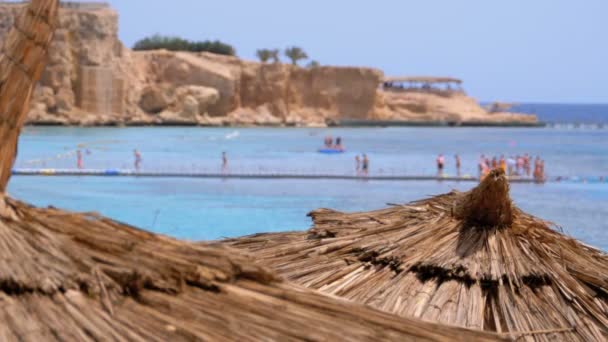 Trópusi tengerpart napernyőkkel a Vörös-tengeren a Coral Reef közelében. Egyiptom. — Stock videók