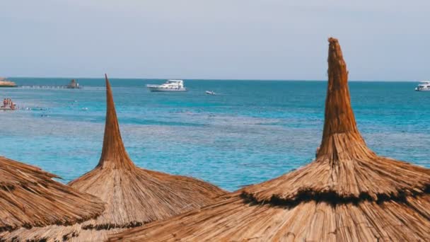 Playa Tropical con sombrillas en el Mar Rojo cerca de Coral Reef. Egipto . — Vídeo de stock