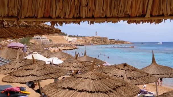 Tropischer Strand mit Sonnenschirmen am Roten Meer in der Nähe von Korallenriffen. Ägypten. — Stockvideo