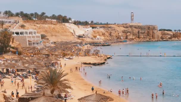 Strand med parasoller och solstolar på lyxhotell på Röda havet nära korallrev. Egypten. — Stockvideo