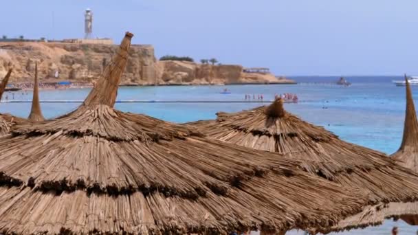 Пляж с солнечными зонтиками на Красном море рядом с коралловым рифом. Египет . — стоковое видео