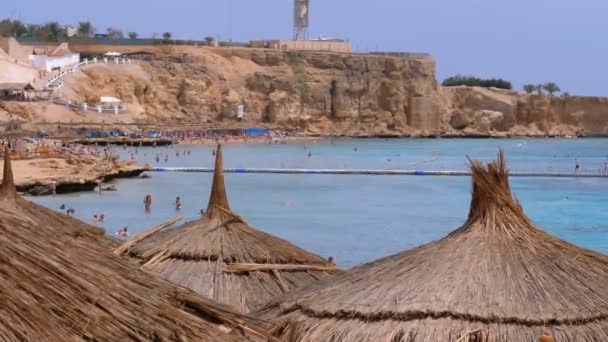 Tropical Beach z parasolami słonecznymi na Morzu Czerwonym w pobliżu Coral Reef. Egipt. — Wideo stockowe