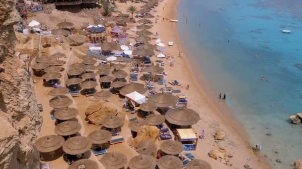 Panoramatický výhled na Coral Beach s deštníky, lehátky a palmami v luxusním hotelu na Rudém moři na útesu. Egypt. — Stock video