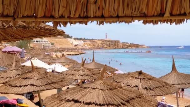 珊瑚礁附近的红海有太阳伞的热带海滩。埃及. — 图库视频影像