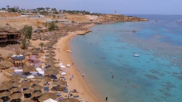 Panoramatický výhled na Coral Beach s deštníky, lehátky a palmami v luxusním hotelu na Rudém moři na útesu. Egypt. — Stock video