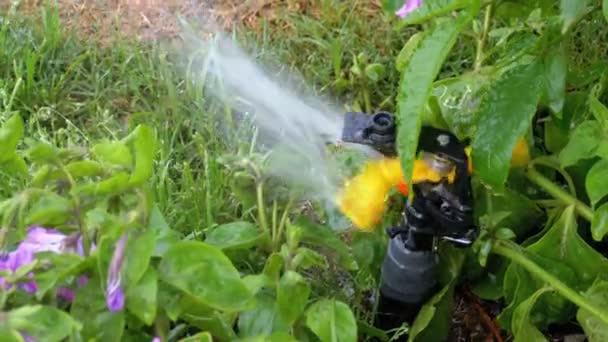 Arroseur automatique de pelouse sur le jardin avec herbe verte au ralenti — Video