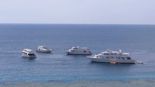 Barche da diporto parcheggiate vicino alla barriera corallina nel Mar Rosso. Egitto — Video Stock