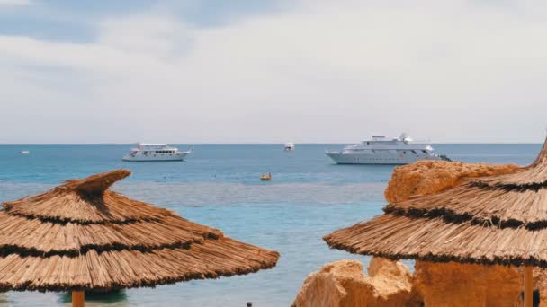 Tropischer Strand mit Sonnenschirmen am Roten Meer in der Nähe von Korallenriffen. Ägypten. — Stockvideo