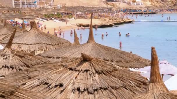 Trópusi tengerpart napernyőkkel a Vörös-tengeren a Coral Reef közelében. Egyiptom. — Stock videók