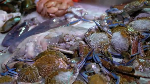 Φρέσκα ψάρια στη θάλασσα πωλούνται στον πάγκο του καταστήματος στο δρόμο — Αρχείο Βίντεο