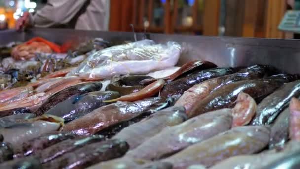 Pescado marino fresco se vende en el mostrador de la tienda en la calle — Vídeo de stock